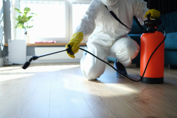 Best Flea Control Services  in Frontenac, KS