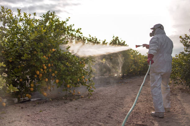 Best Pest Prevention Services  in Frontenac, KS