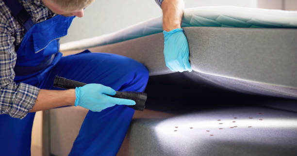 Best Pest Inspection Near Me  in Frontenac, KS