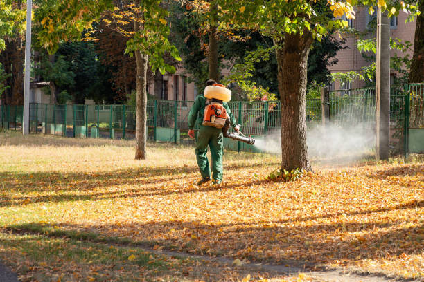 Best Exterminator Services  in Frontenac, KS