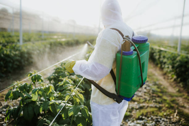 Best Mosquito Control Services  in Frontenac, KS